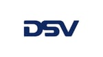 dsv-logo